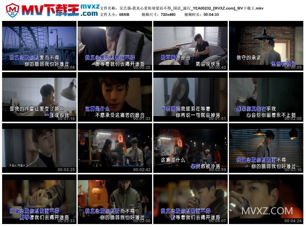 吴艺强-我真心爱你却爱而不得_国语_流行_YEA00232